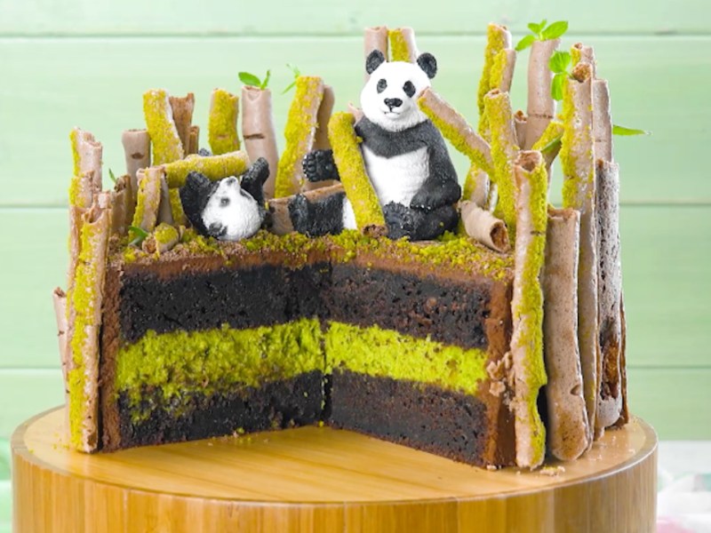 Chocolate Panda Cake With Pistachio Cream And Chocolate Meringue Bamboo Sticks