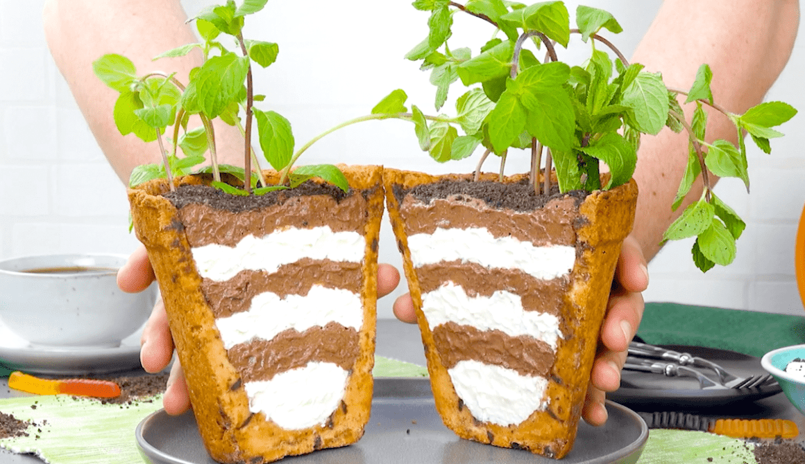 Cookie Flower Pot Cake