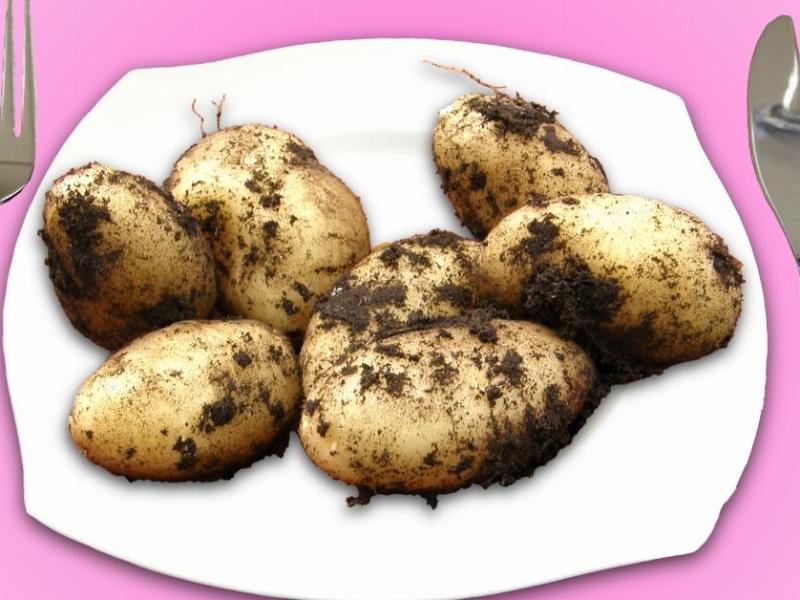 The 5 Tastiest Ways To Cook Potatoes